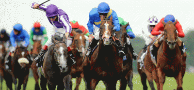 horse racing online
